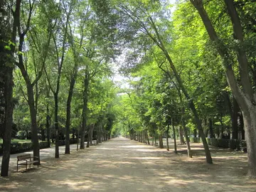 Paseo de la Isla de Burgos Paseo de la Isla de Burgos