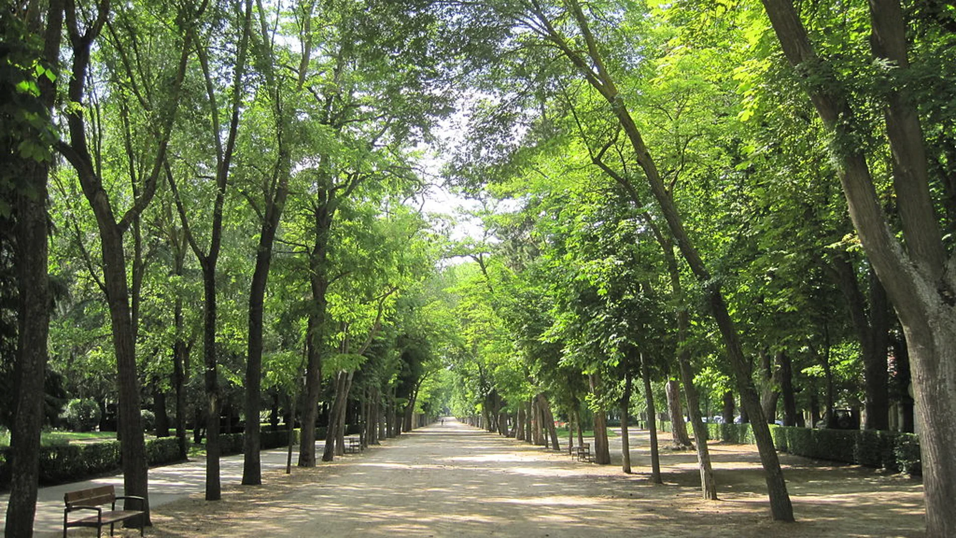Paseo de la Isla de Burgos Paseo de la Isla de Burgos