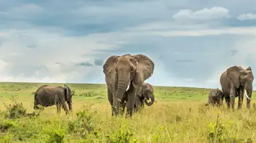 Una de las fotografías realizadas por Michael Finn durante su viaje a Kenia Una de las fotografías realizadas por Michael Finn durante su viaje a Kenia