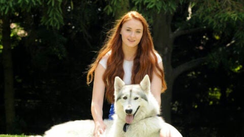 Sophie Turner con el huargo Lady