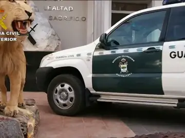 Frame 2.877034 de: Una operación contra el tráfico ilegal de especies se cierra con 59 detenidos Frame 2.877034 de: Una operación contra el tráfico ilegal de especies se cierra con 59 detenidos