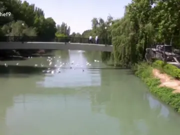 Frame 8.508333 de: Cocina de príncipes en el castillo de Aranjuez Frame 8.508333 de: Cocina de príncipes en el castillo de Aranjuez