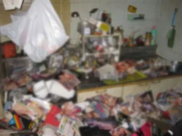 Seis toneladas de revistas porno matan a un japonés Seis toneladas de revistas porno matan a un japonés