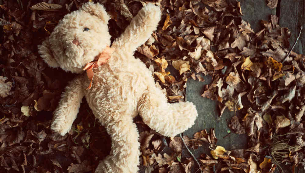 Oso de peluche