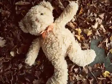 Oso de peluche Oso de peluche