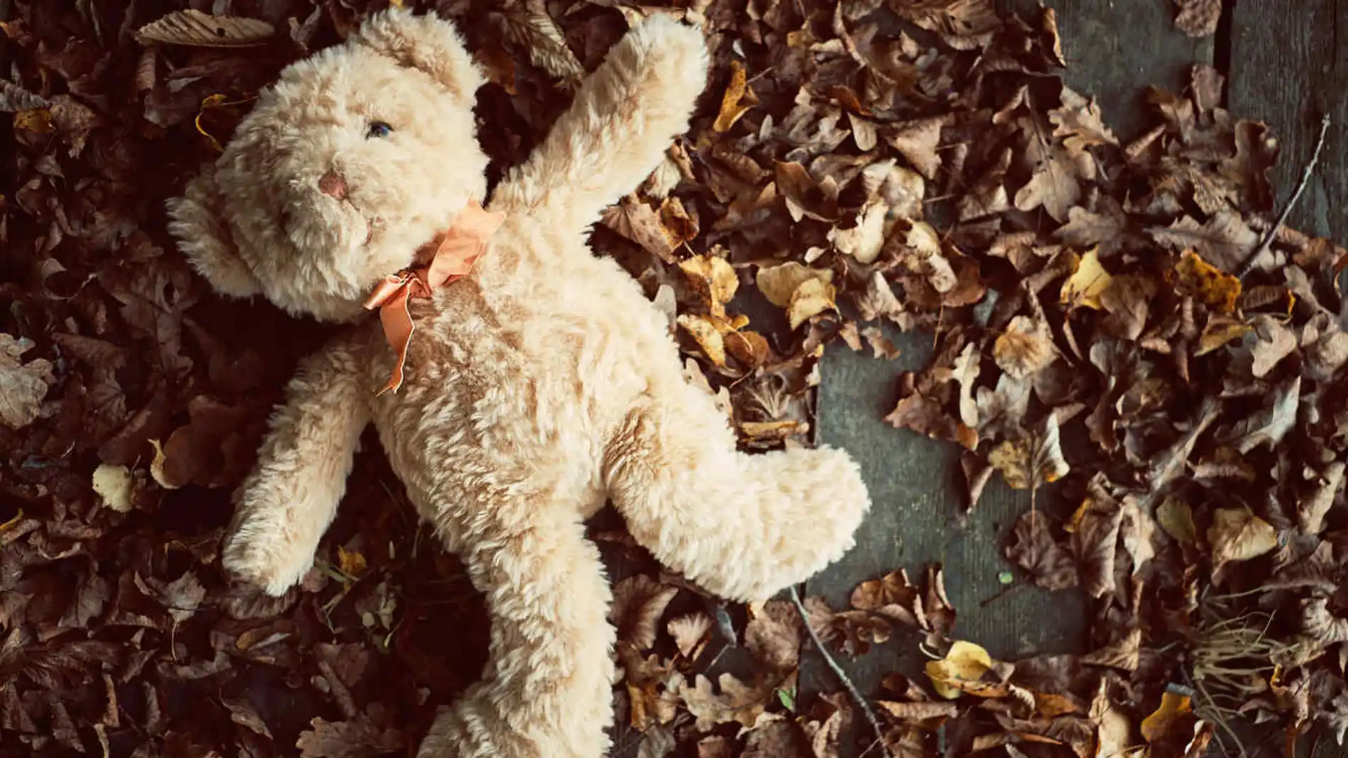 Oso de peluche Oso de peluche