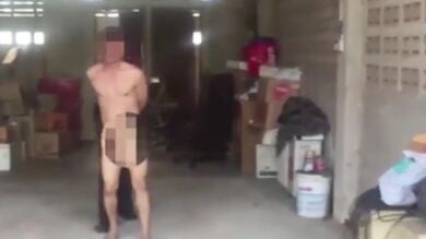 La Policía detiene a un hombre por mantener relaciones sexuales con una vaca