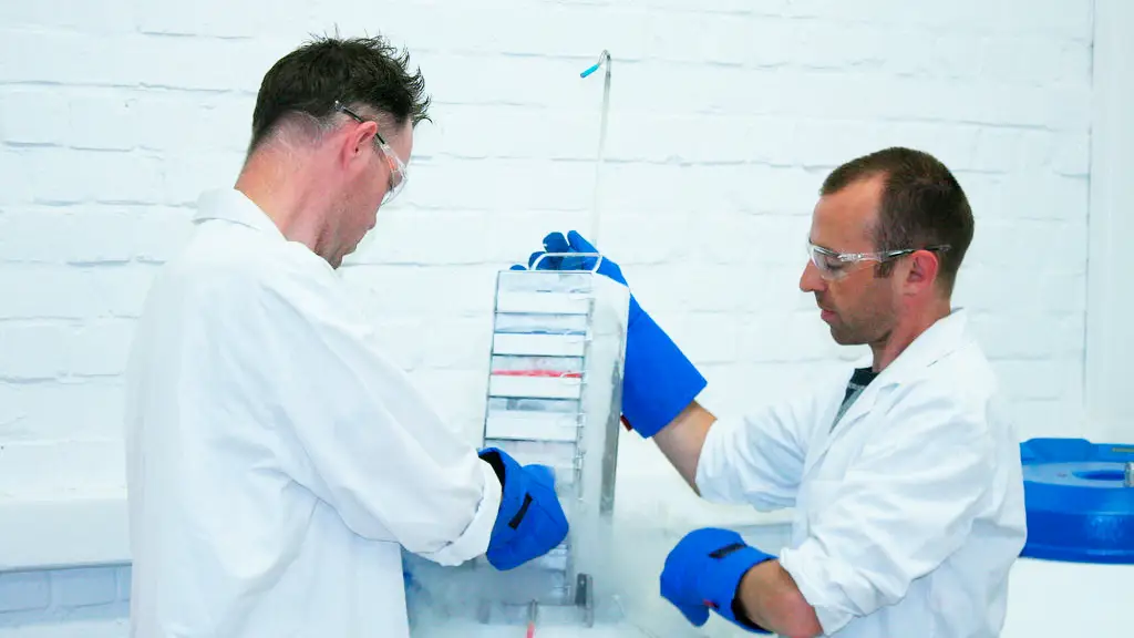 Laboratorio de criopreservación de plátanos en Bélgica Laboratorio de criopreservación de plátanos en Bélgica