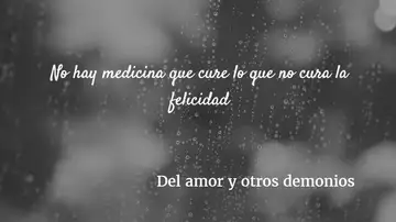 Frase del libro 'Del amor y otros demonios' Frase del libro 'Del amor y otros demonios'