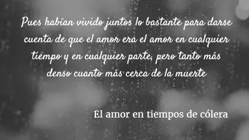Frase del libro 'El amor en tiempos de cólera' Frase del libro 'El amor en tiempos de cólera'