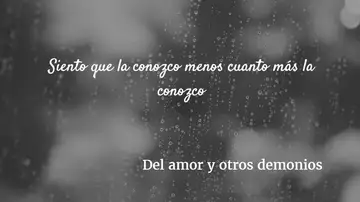 Frase del libro 'Del amor y otros demonios' Frase del libro 'Del amor y otros demonios'