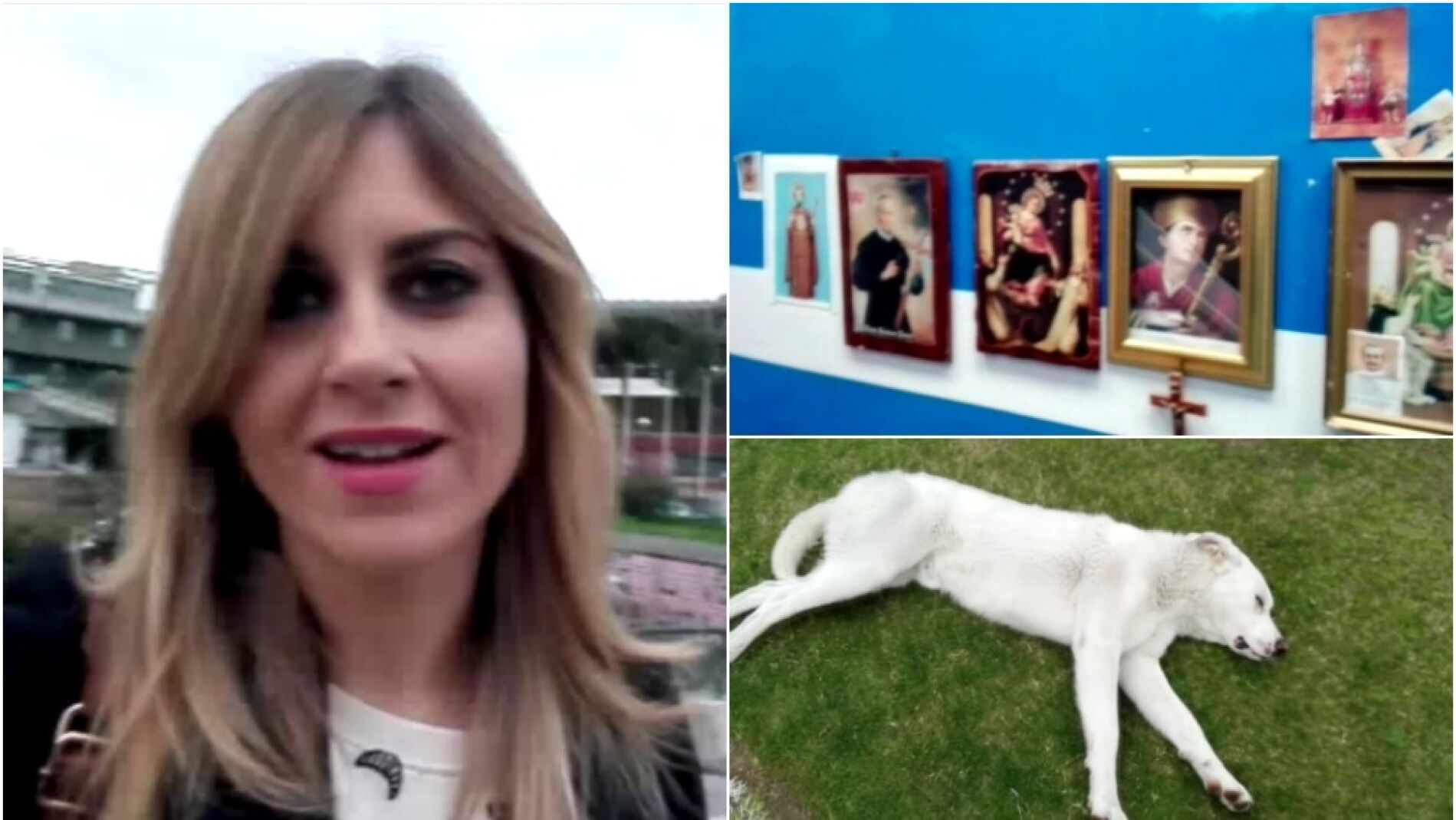 Susana Guasch en san Paolo