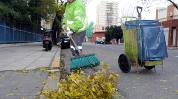 Un barrendero barriendo las hojas de los árboles