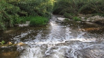 Río Serpis