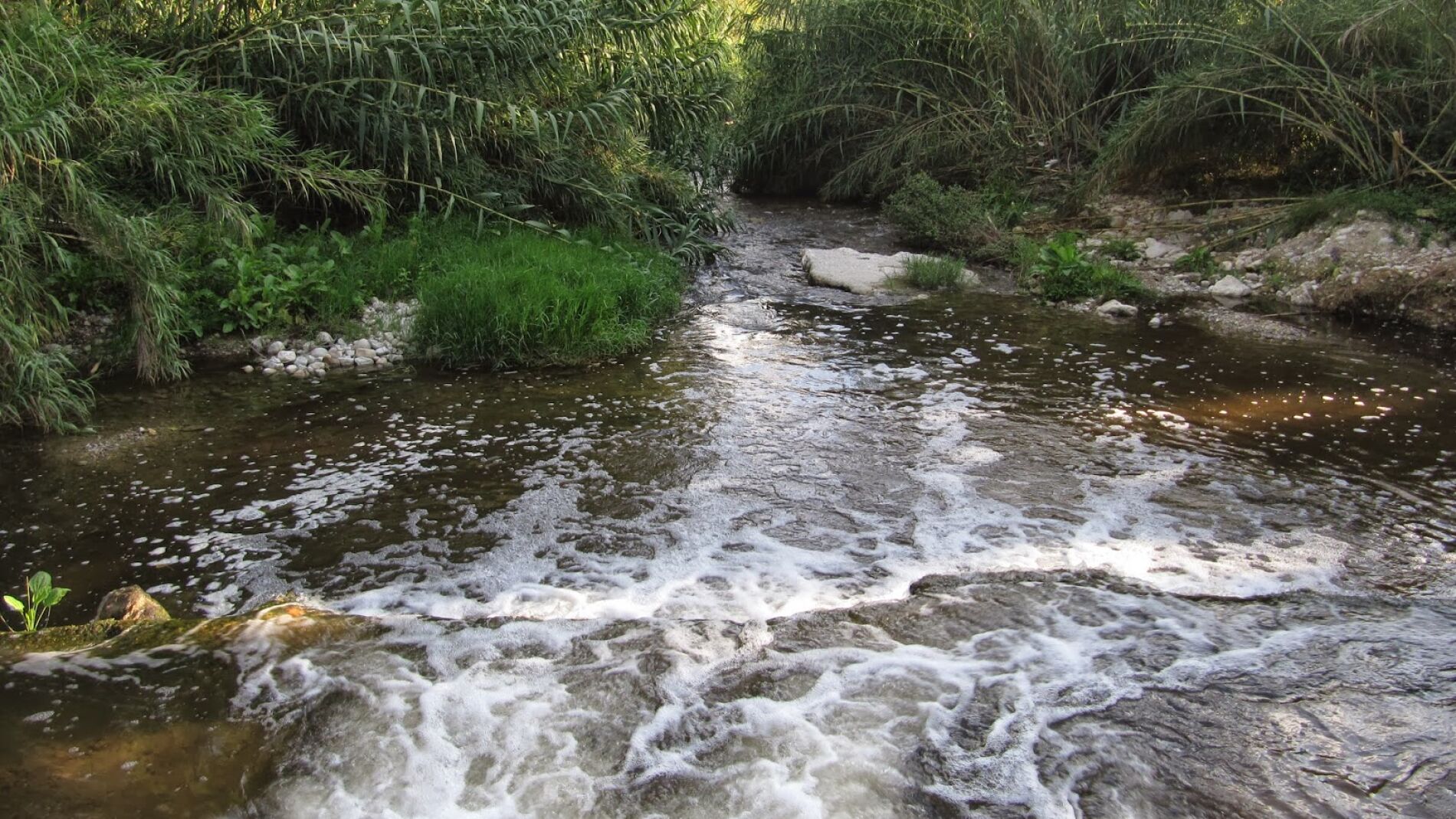 R&iacute;o Serpis