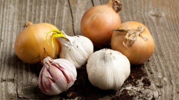 Ajos y cebollas