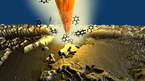 Mapa molecular Mapa molecular