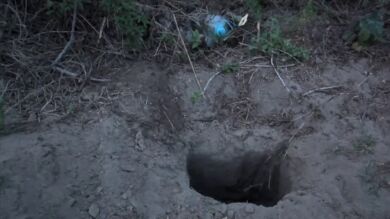 Encuentran más de 250 cráneos humanos enterrados en el estado mexicano de Veracruz