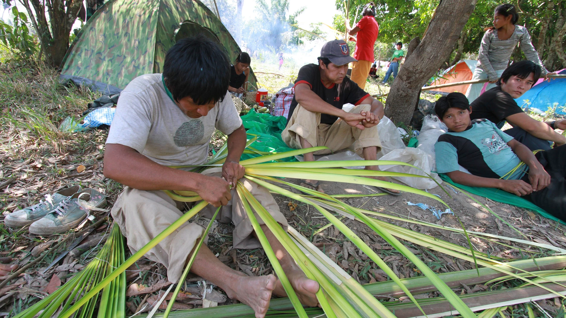 Hallan en la Amazonia un grupo humano con la mejor salud arterial Hallan en la Amazonia un grupo humano con la mejor salud arterial