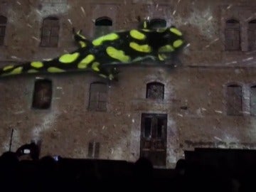 Frame 9.033815 de: El Festival de luces llena de magia el casco histórico de Zagreb Frame 9.033815 de: El Festival de luces llena de magia el casco histórico de Zagreb