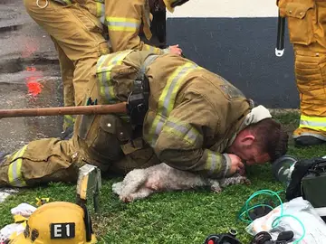 El bombero practicándole el boba a boca El bombero practicándole el boba a boca