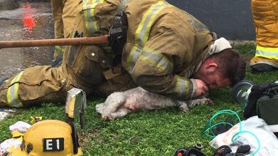 Un bombero salva la vida a un perro practicándole el boca a boca durante 20 minutos