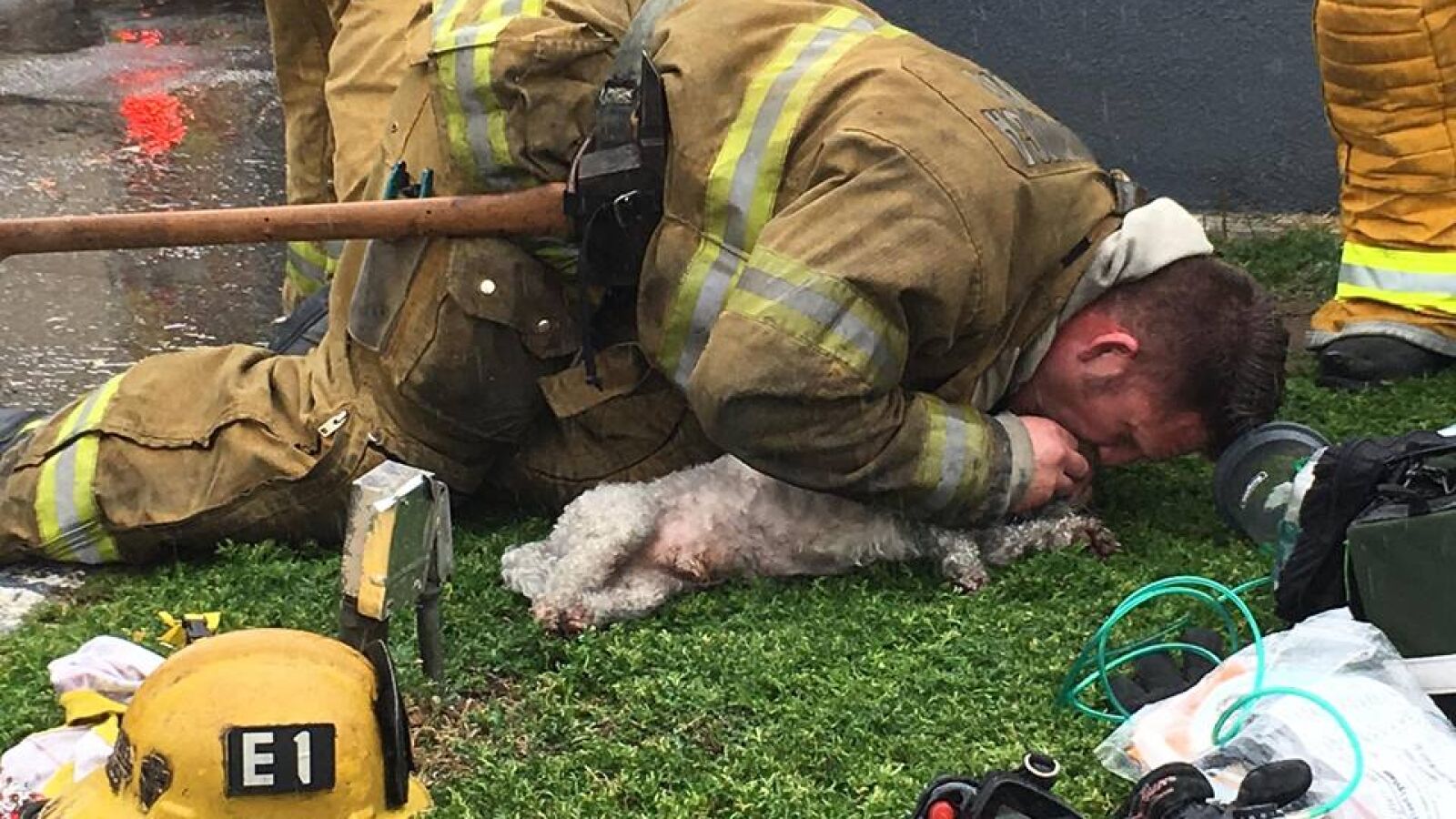 Un bombero salva la vida a un perro practicándole el boca a boca durante 20 minutos