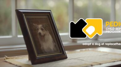 Una campaña invita a los padres a afrontar el sentimiento del 'nido vacío' reemplazando a los hijos por animales