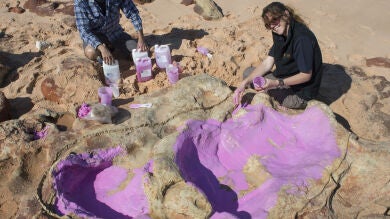 Hallan una de las huellas más grandes de dinosaurio en un 'Parque Jurásico' en Australia 