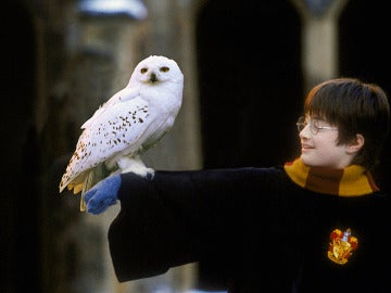 Fotograma de 'Harry Potter'