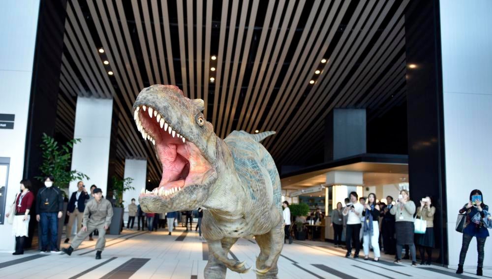 Tres velociraptores de un museo australiano, decapitados
