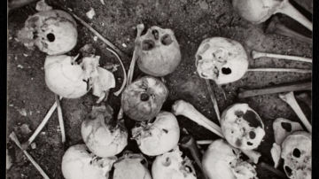 Huesos y calaveras en el suelo