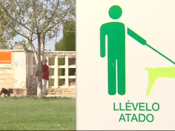 Frame 0.0 de: El Ayuntamiento de Alcañiz, en Teruel, va a sustituir las multas económicas por trabajos para la comunidad Frame 0.0 de: El Ayuntamiento de Alcañiz, en Teruel, va a sustituir las multas económicas por trabajos para la comunidad