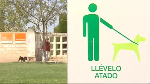 Frame 0.0 de: El Ayuntamiento de Alcañiz, en Teruel, va a sustituir las multas económicas por trabajos para la comunidad Frame 0.0 de: El Ayuntamiento de Alcañiz, en Teruel, va a sustituir las multas económicas por trabajos para la comunidad