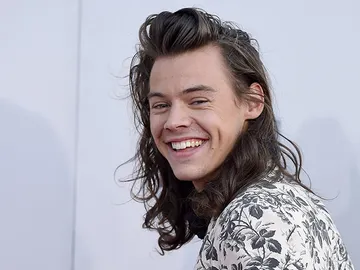 Harry Styles Harry Styles