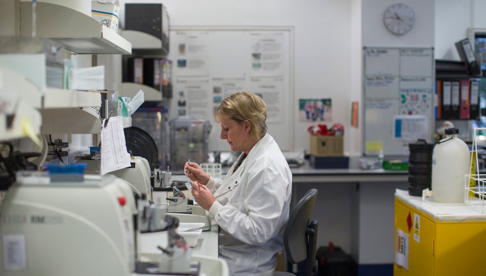 Una científica trabajando en el laboratorio