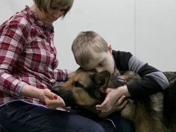 Terapia con perros Terapia con perros