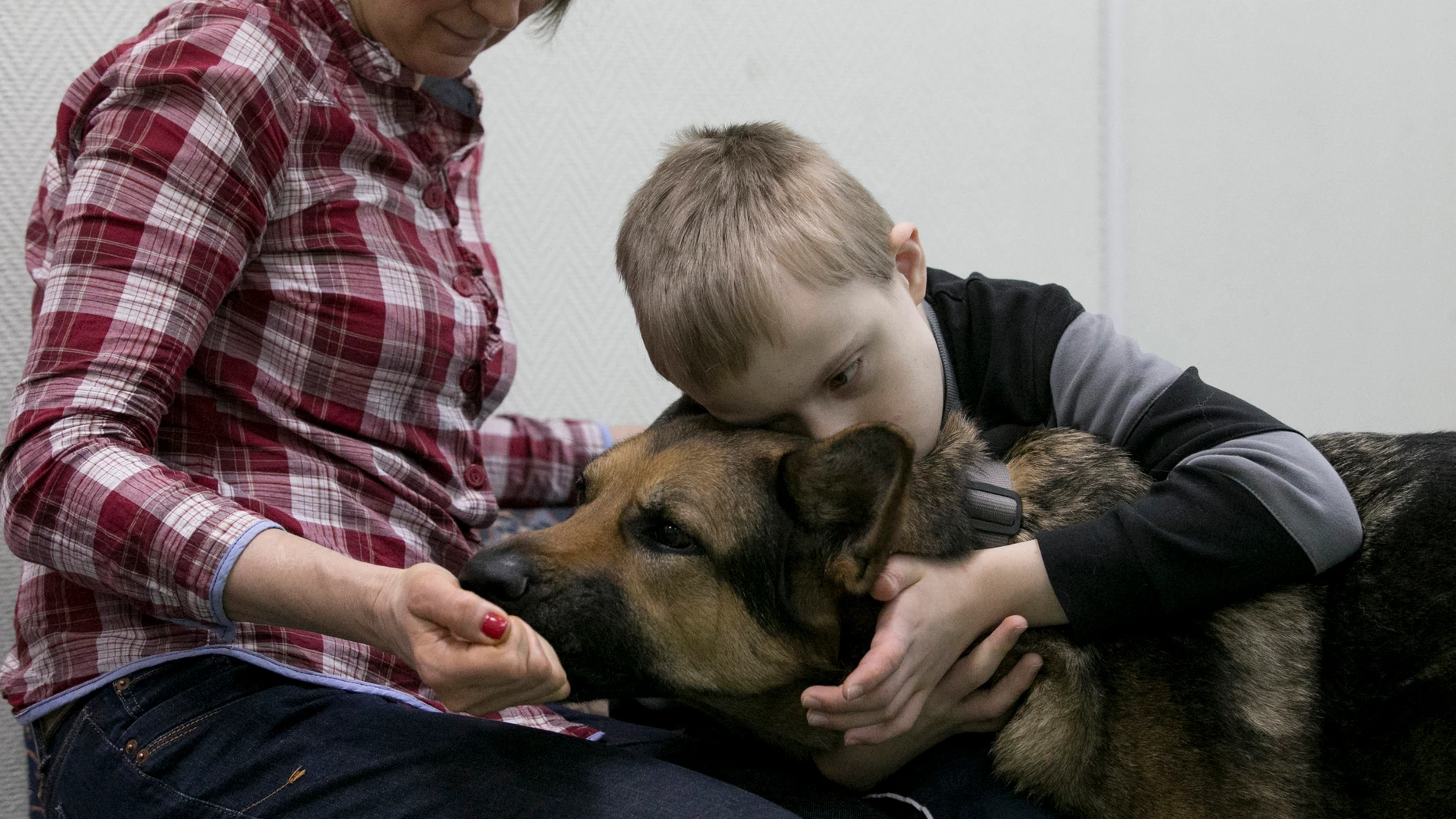Terapia con perros Terapia con perros