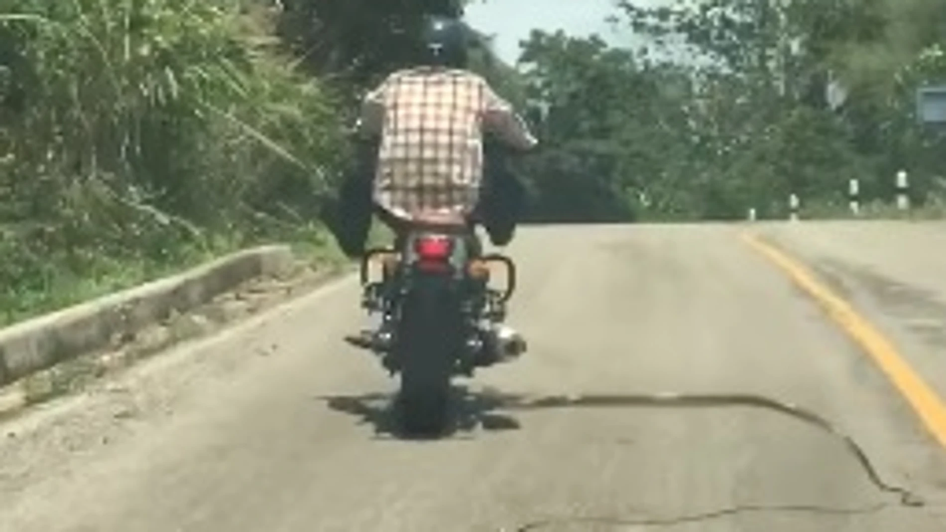 La serpiente atacando al motorista La serpiente atacando al motorista