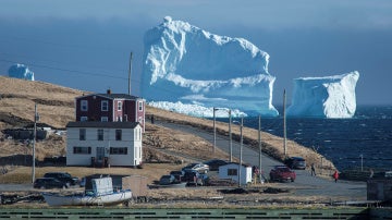 Iceberg en Ferryland