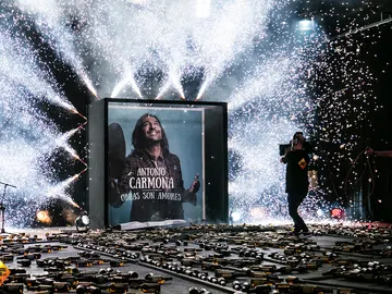 El efecto mariposa de Antonio Carmena en 'El Hormiguero 3.0' El efecto mariposa de Antonio Carmena en 'El Hormiguero 3.0'