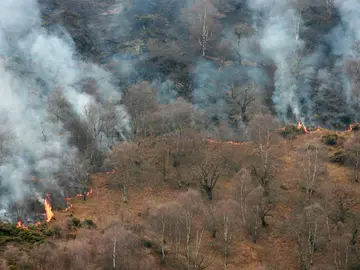 Incendio forestal en Asturias Incendio forestal en Asturias