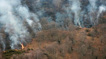 Incendio forestal en Asturias