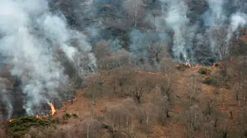 Incendio forestal en Asturias Incendio forestal en Asturias