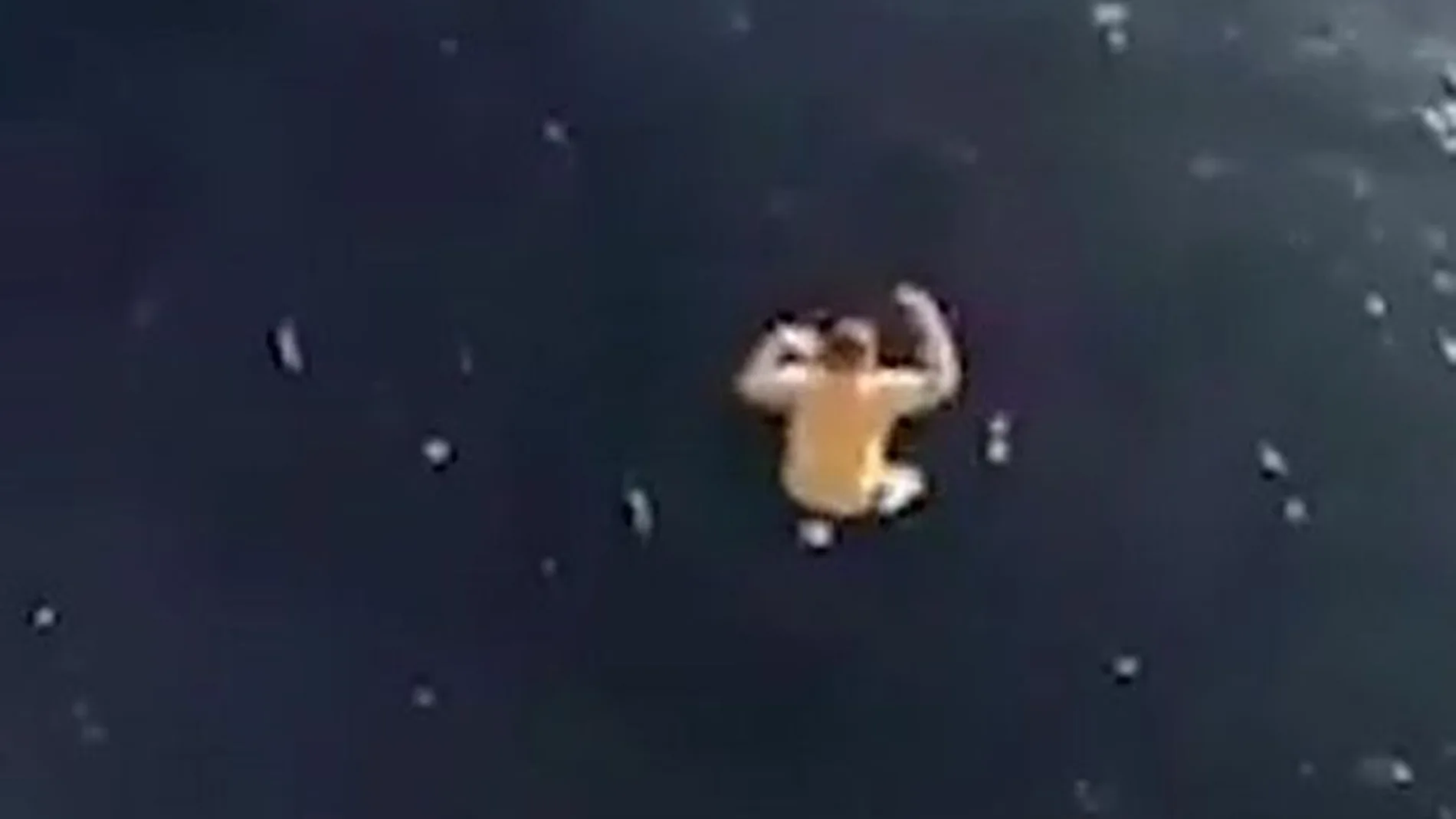 Un hombre salta desde 12 metros para salvar a una ballena atrapada en una red Un hombre salta desde 12 metros para salvar a una ballena atrapada en una red