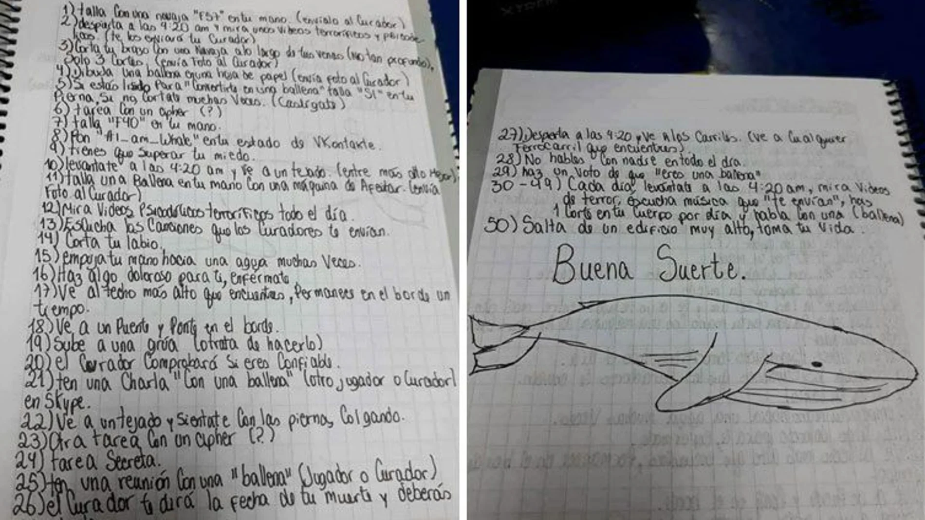 Las 50 pruebas del peligroso juego de la ballena azul Las 50 pruebas del peligroso juego de la ballena azul