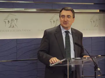 Aitor Esteban, portavoz del PNV Aitor Esteban, portavoz del PNV