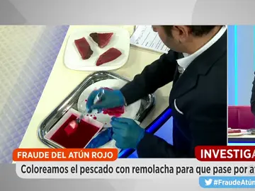 Frame 92.066666 de: atun Frame 92.066666 de: atun