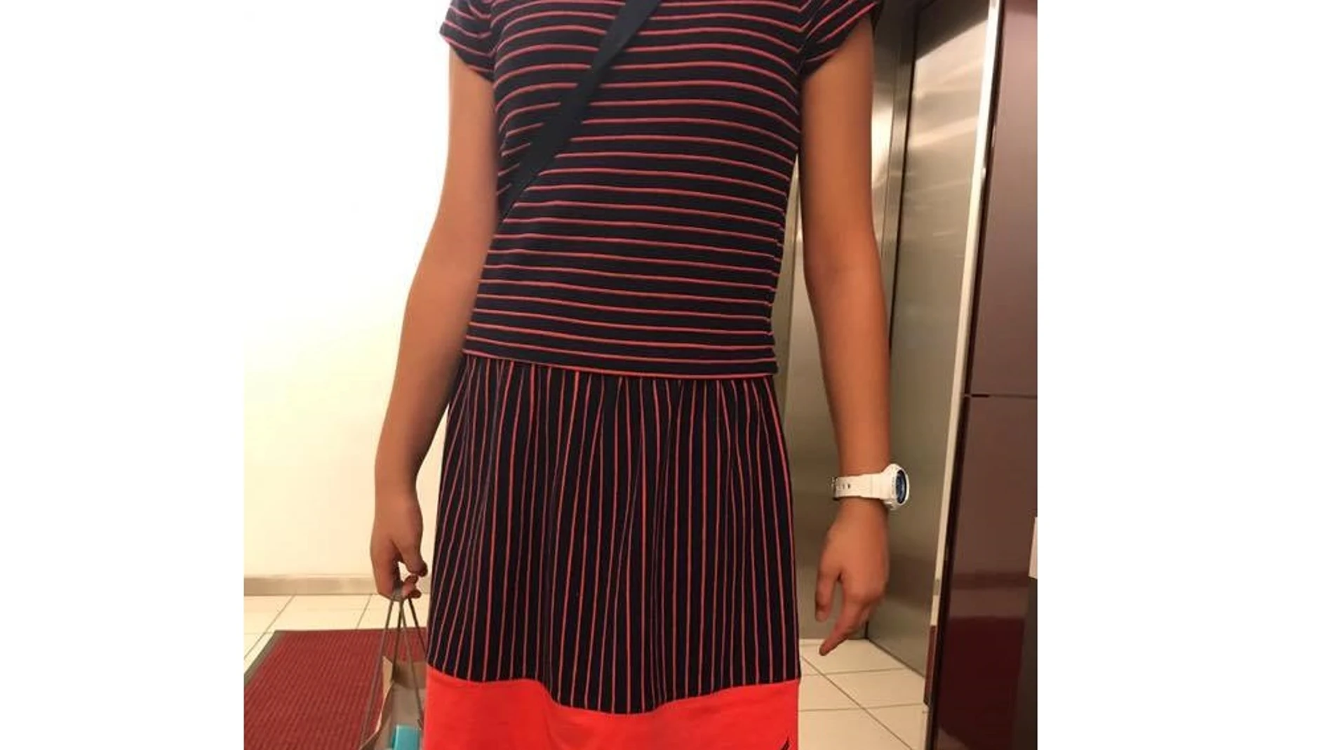 El vestido que llevaba la niña El vestido que llevaba la niña