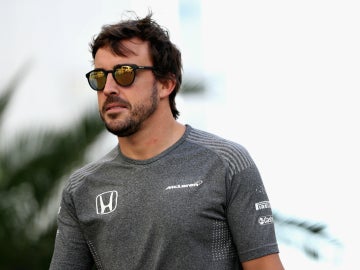 Fernando Alonso, en Sochi